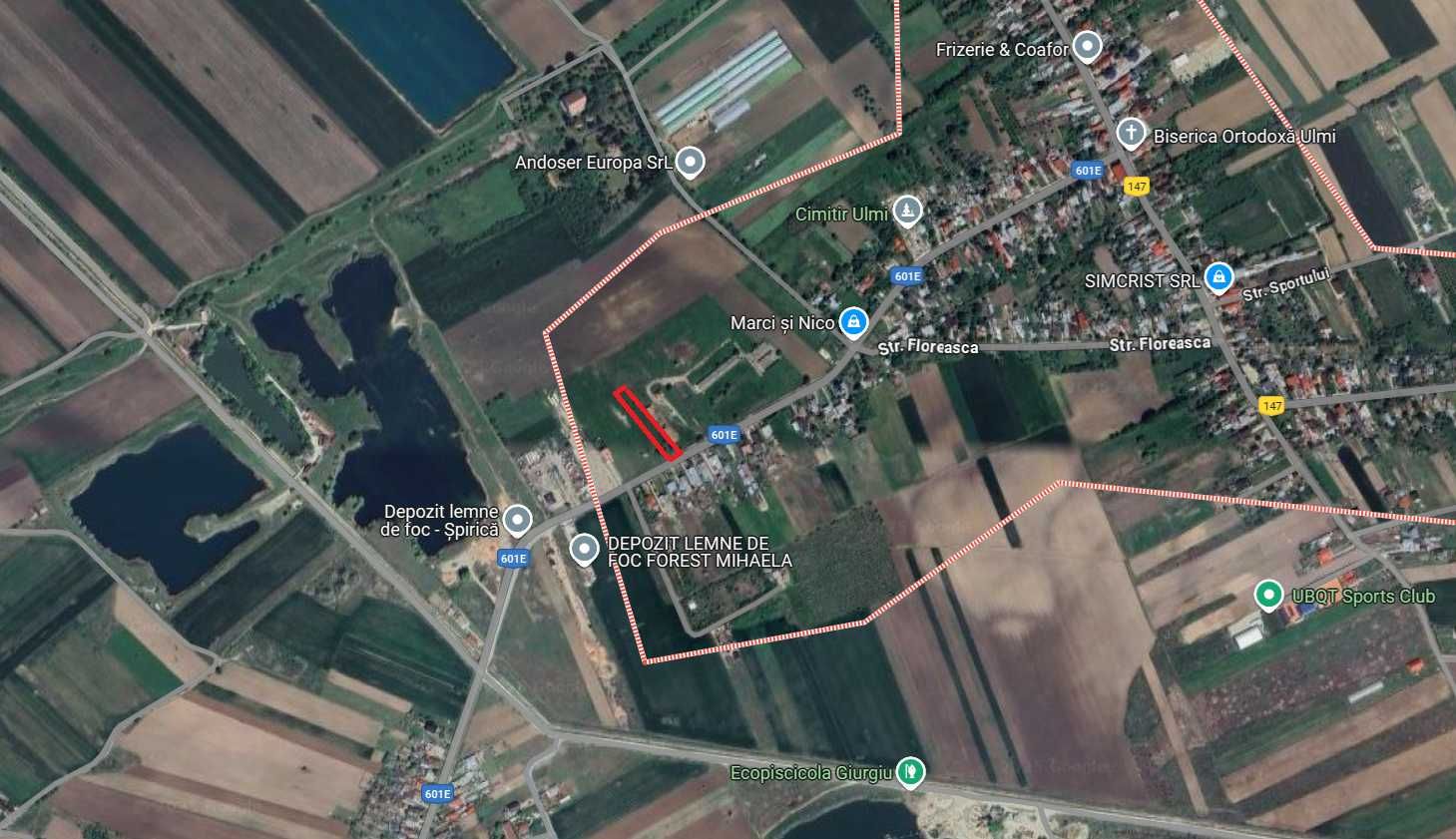 Teren intravilan agricol Ulmi Giurgiu