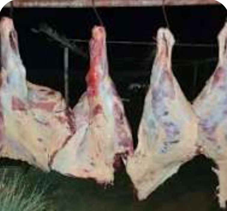 Продаётся туша говядины (молодая корова)