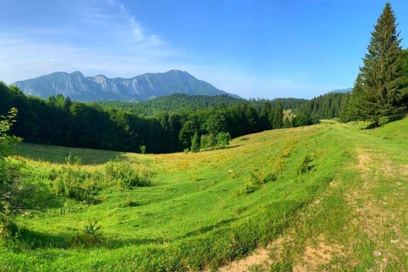 Vând teren Trei Brazi Predeal