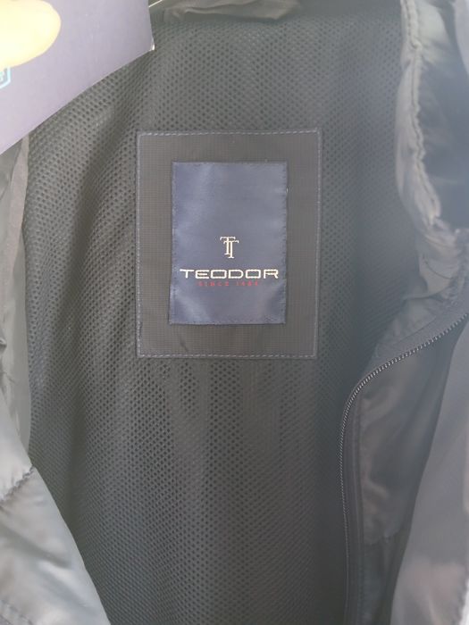 Яке елегантно Теодор