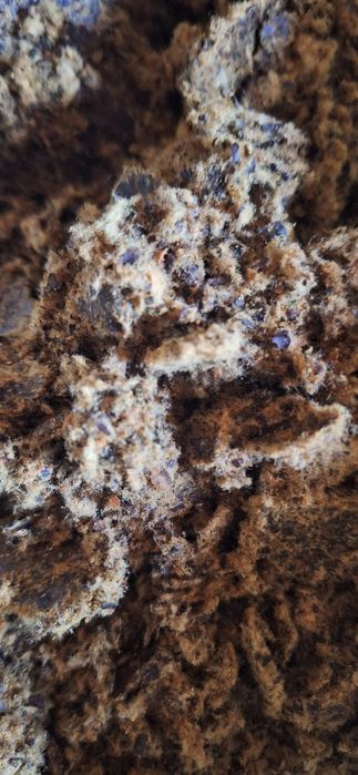 Ekalogik toza kunjara