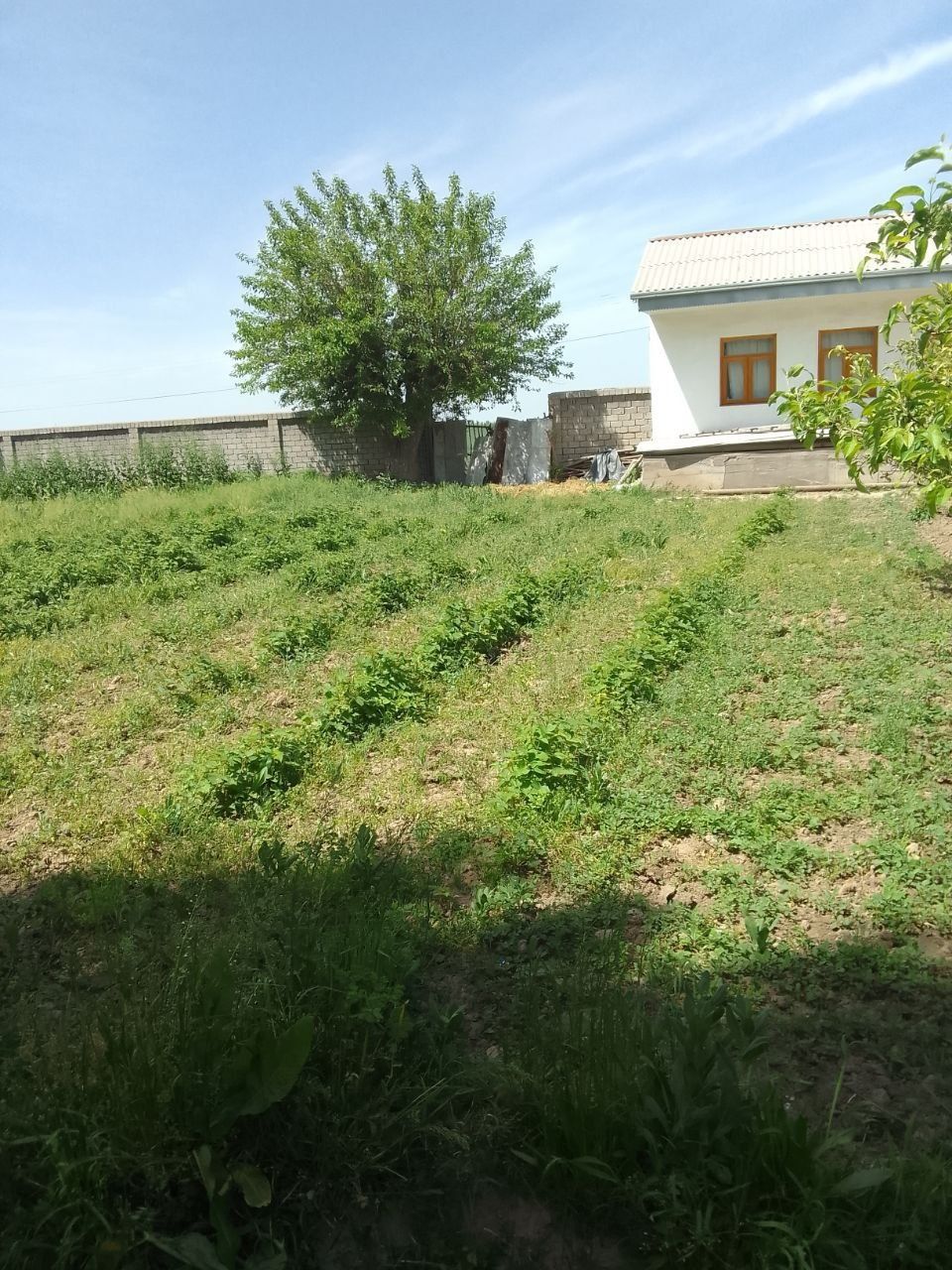 Uy sotiladi zudlik bilan