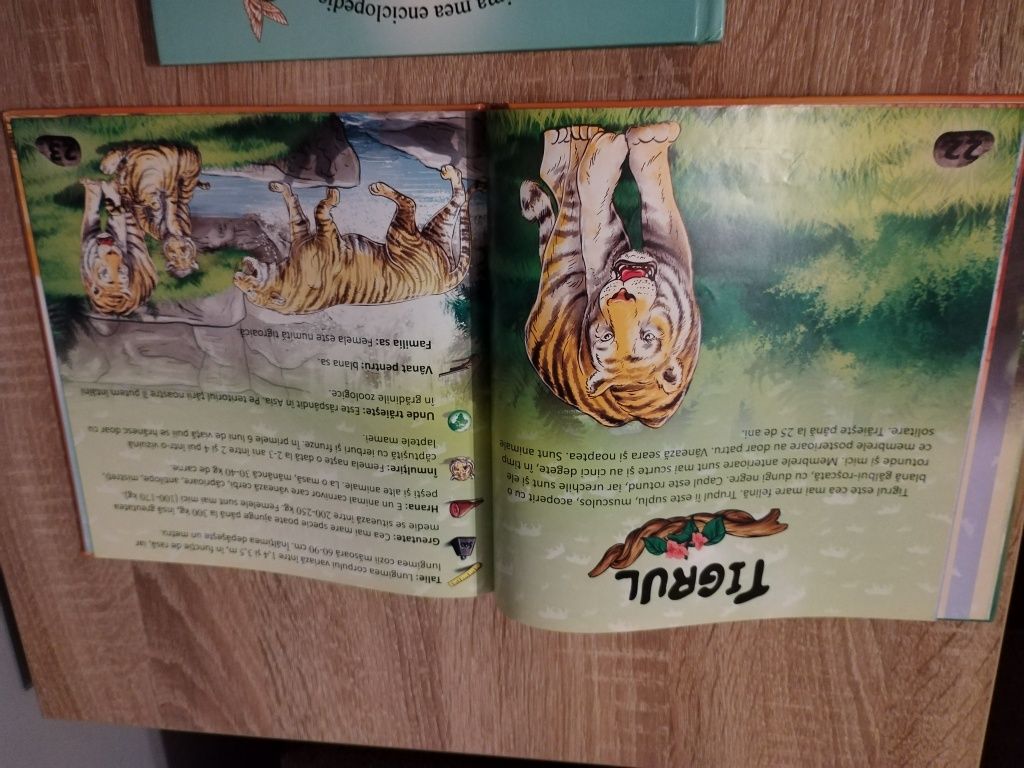 Cărți Animale, Păsări copii