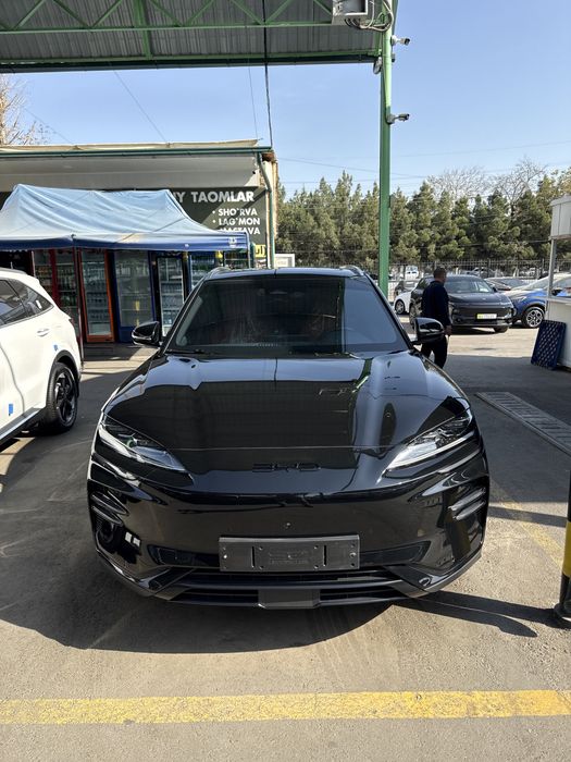 BYD Champion EV 506 km