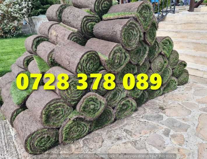 Gazon rulou - Gradina Verde vesnica Garantat ! Firma autorizata