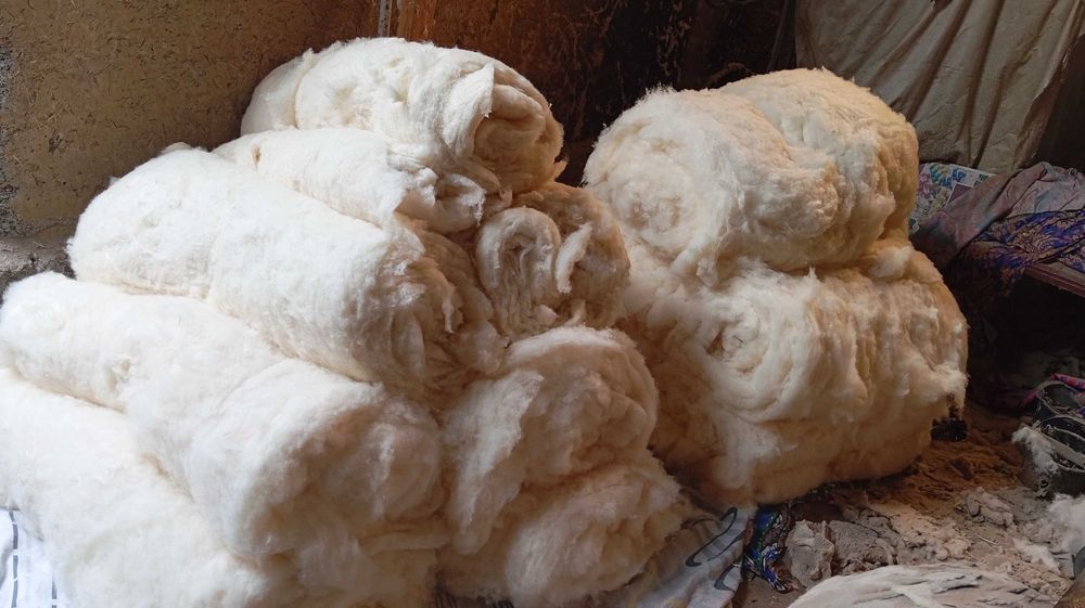 Paxta sotiladi  Пахта сотамиз