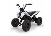 ATV Electric Injusa 24 v