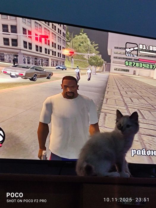 Отдам котенка в хорошие руки