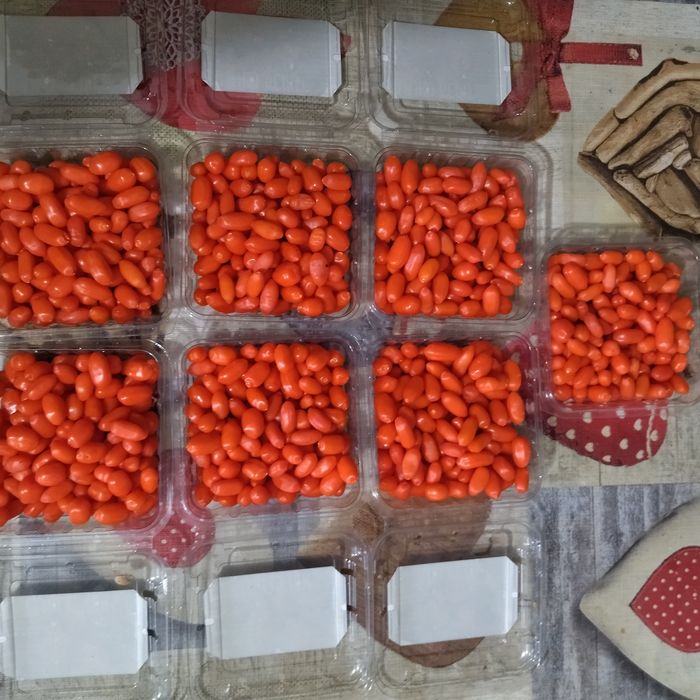 Годжи бери - разсад