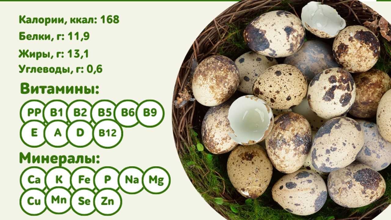Перепелиные яйца. Домашние. 100 % натуральные и свежие. Отправка по КЗ