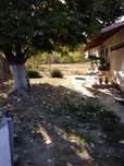 Casa Malu Mare, str Bechetului( principala) 729 mp!