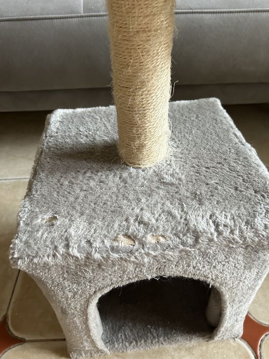 Котешка катерушка в добро състояние