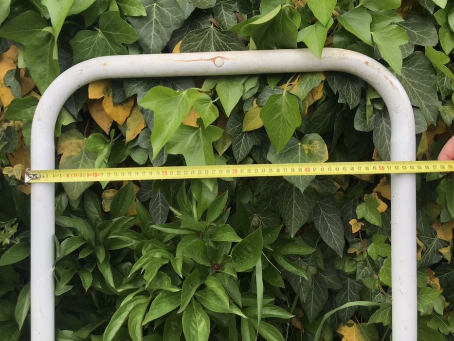 gard de plasă de sârmă și rama de raft metalic