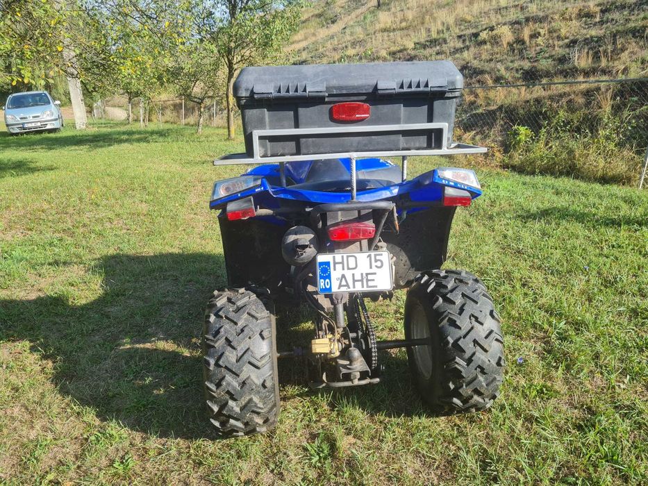 Quad ATV E-ton Vector VXL-250