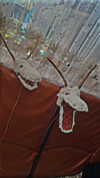 Vănd capre de anu nou