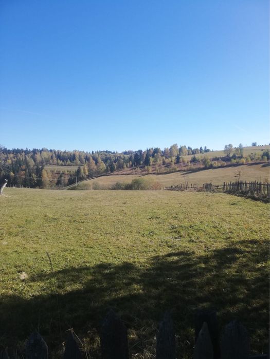 Vand teren intravilan in Rasca