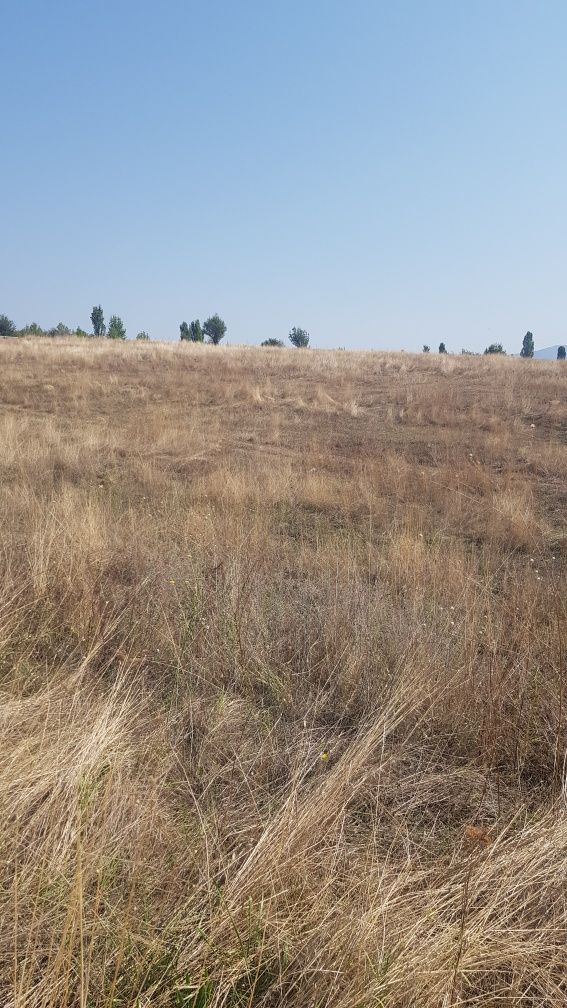 Продава се Парцел в Кюстендил, Бузлуджа - 3000 кв.м за 2 €/кв.м - Снимка #1