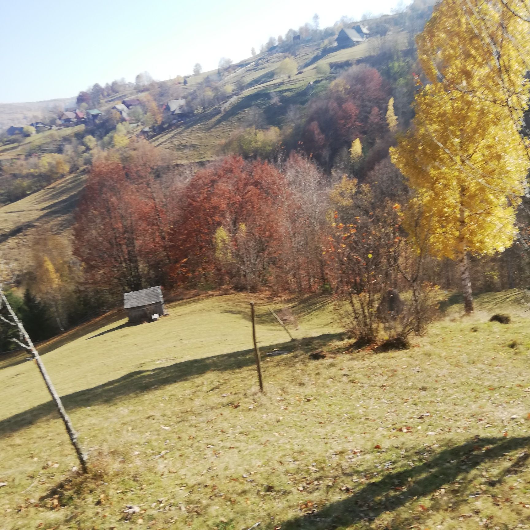 Teren de vânzare