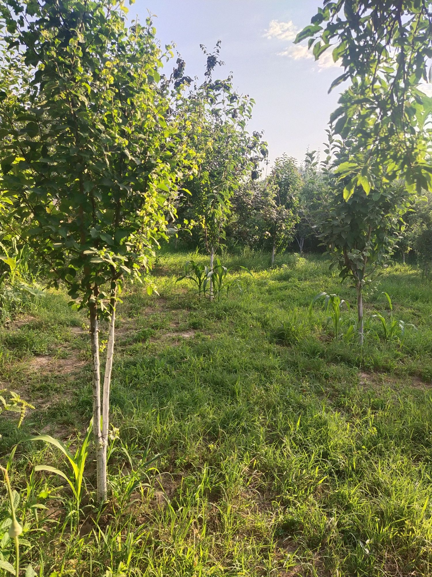 Дом продается курорт