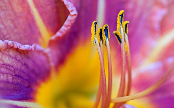 Fujifilm FinePix S2 Pro 6.2MP Digital SLR фотоапарат