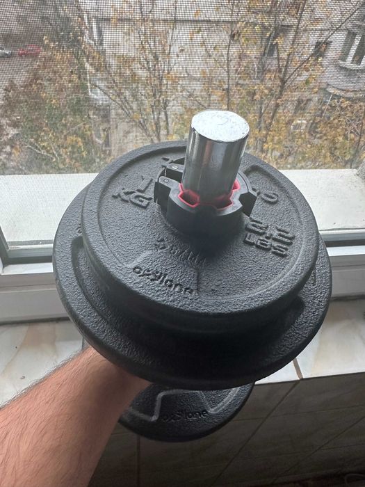 Ganteră 10 kg metal + discuri din fontă – stare foarte bună