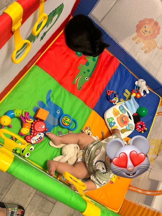 vand tarc pentru copii