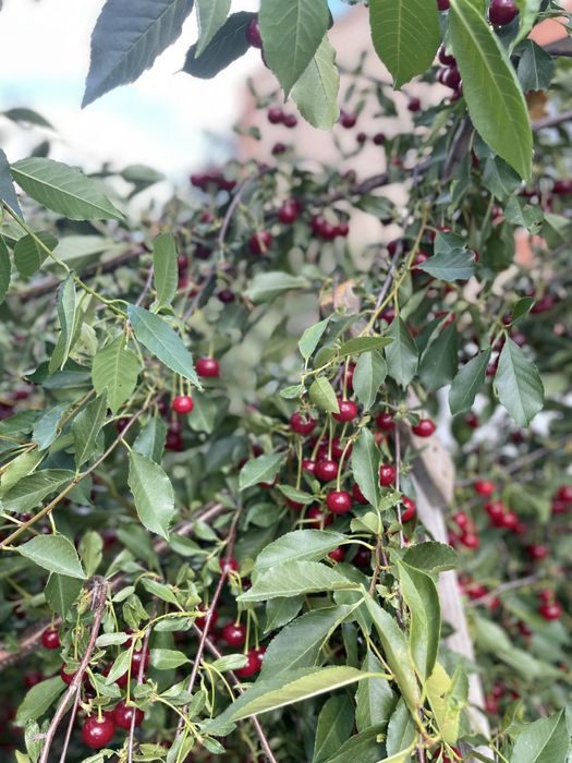 Дом, центр города.