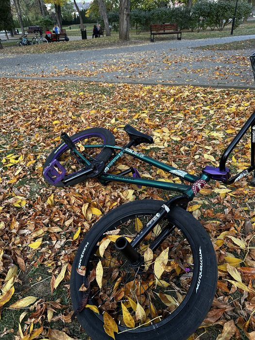 bmx wtp 21" custom