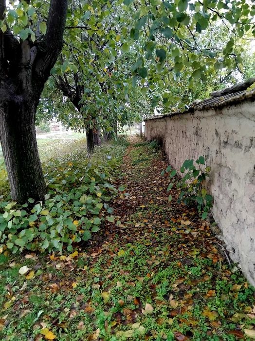 Продава се Къща в Варна, Левски - 100 кв.м за 500 €/кв.м - Снимка #12