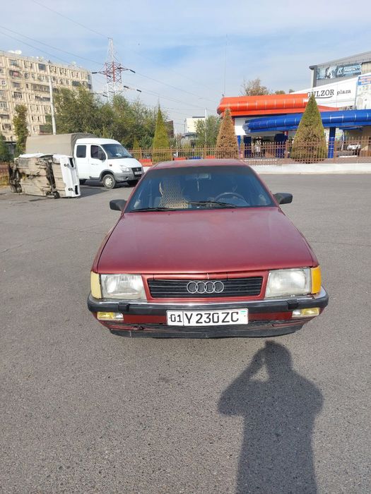 AUDI         100