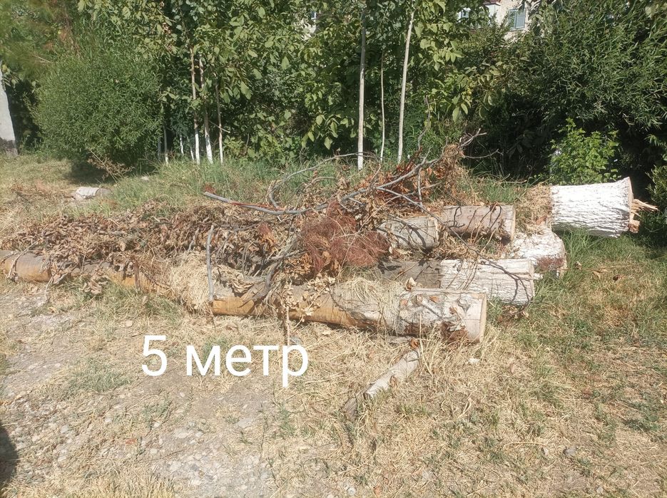 Terak .Терак сотилади