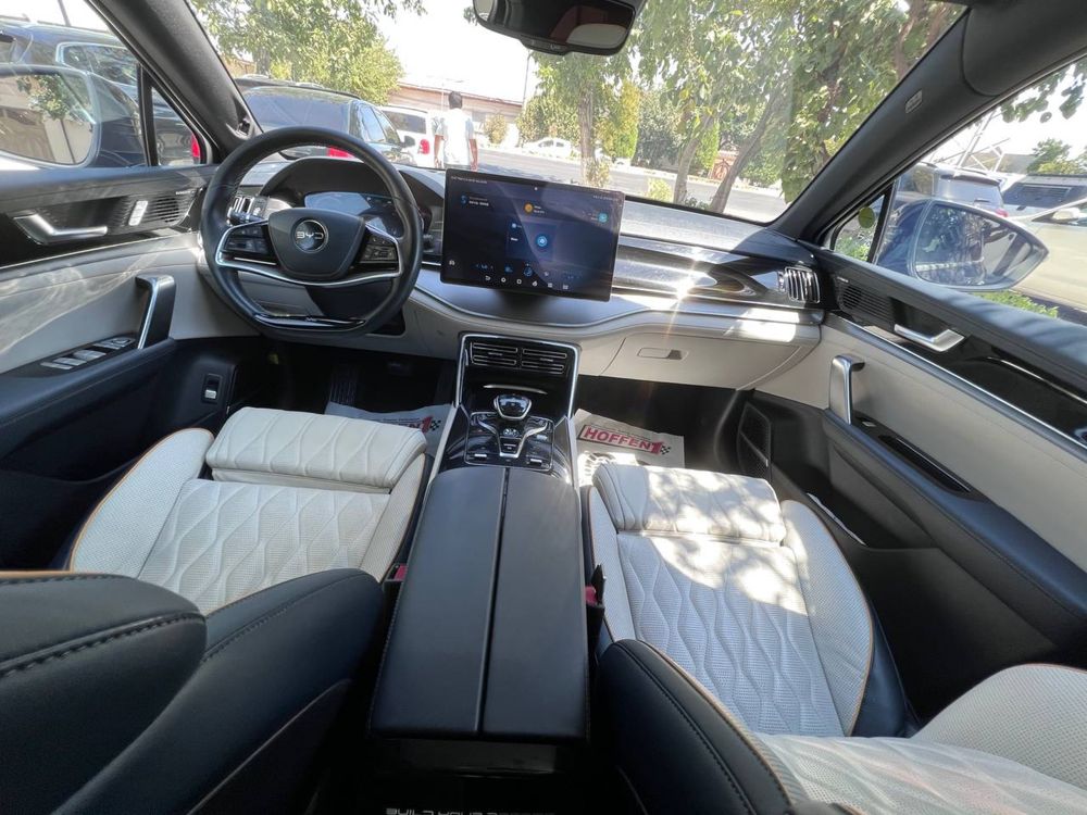 BYD tank Dual mator