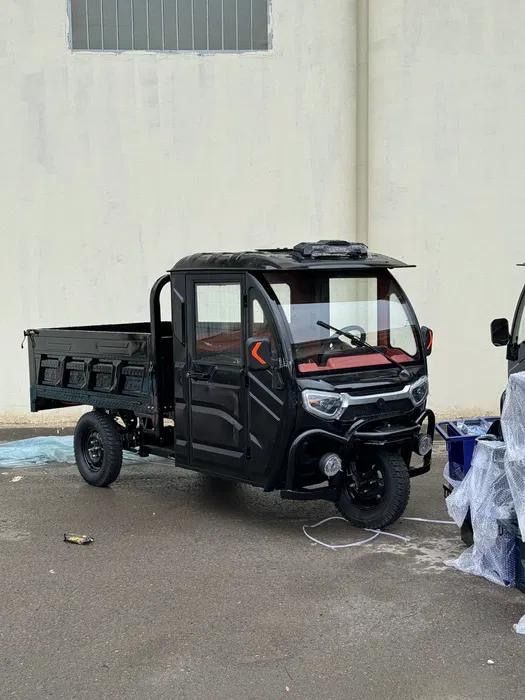 Madrolle муравей с кабины