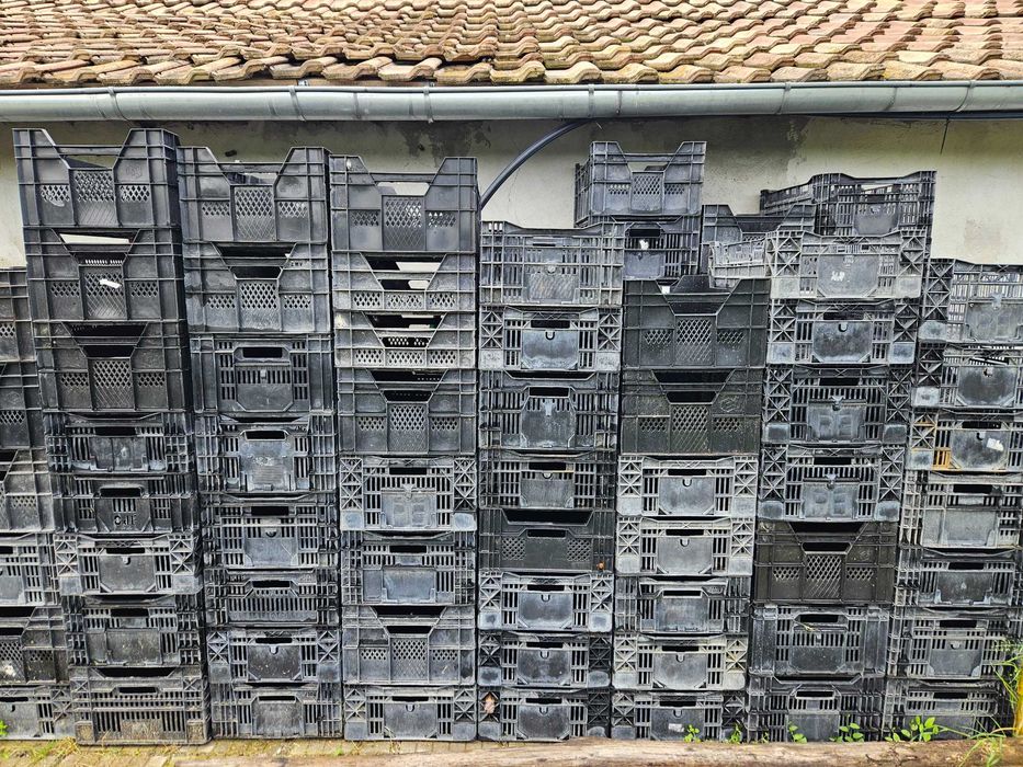 Пластмасови щайги/касетки - Холандски