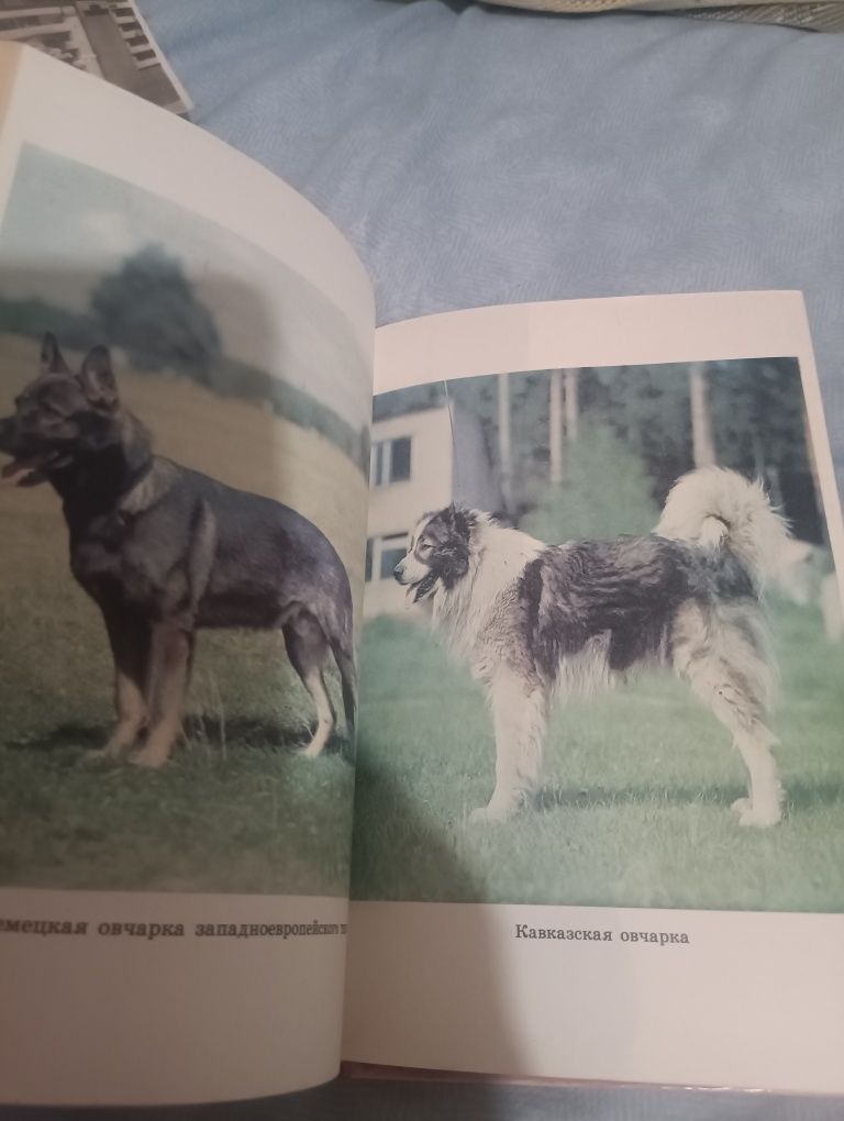 Воспитание щенка издание СССР