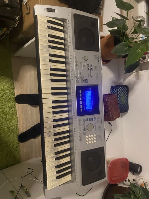 Vand Orga C.Giant LP6210C