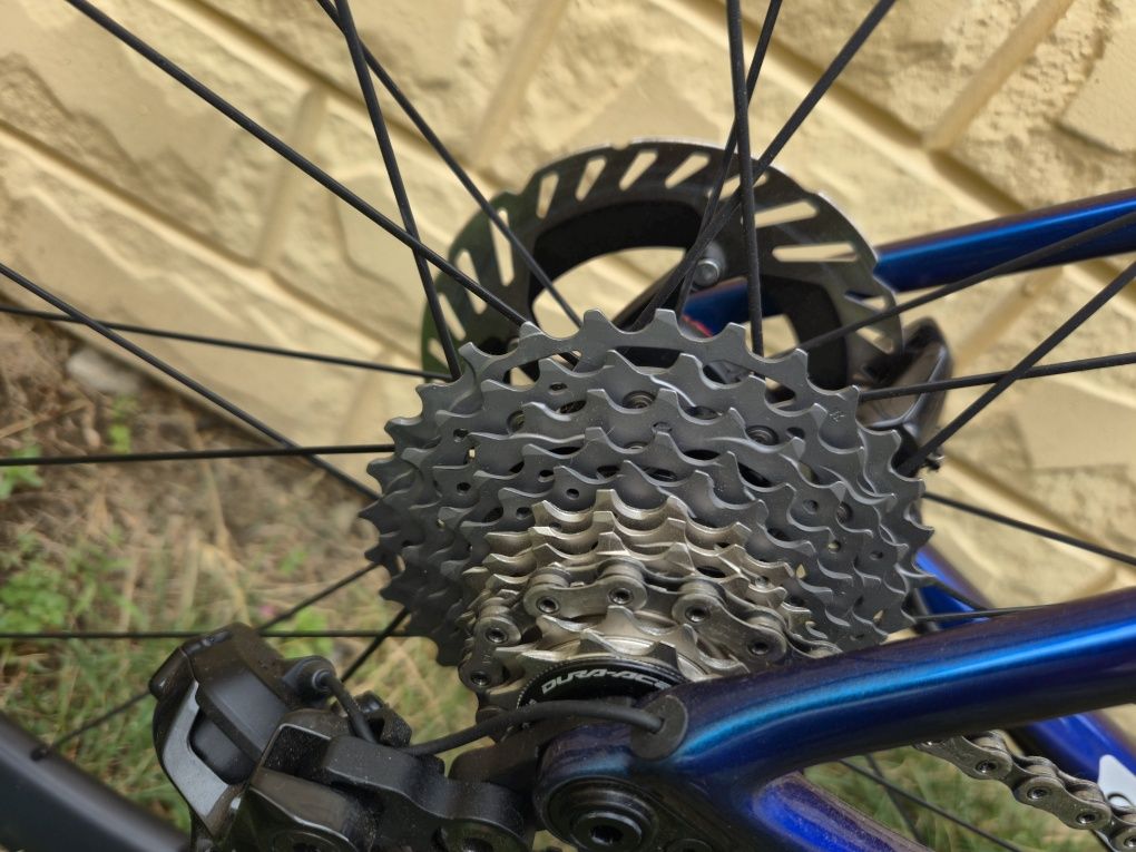 Cursiera Wilier Filante SLR 2025 Carbon Disc Dura Ace 2x12