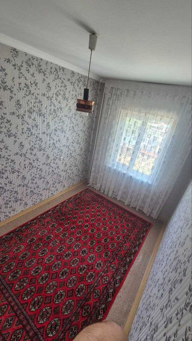 Алока тинчлик   3/3/5   чистый