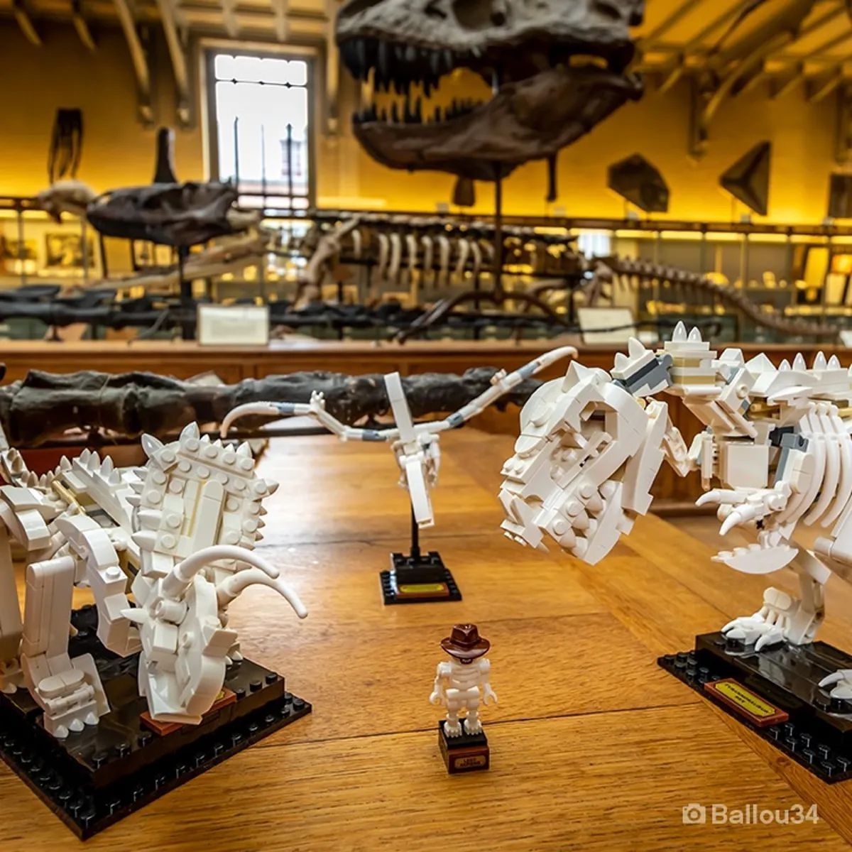 Lego Ideas 21320 Dinosaur Fossils Вкаменелости на динозаври + подарък