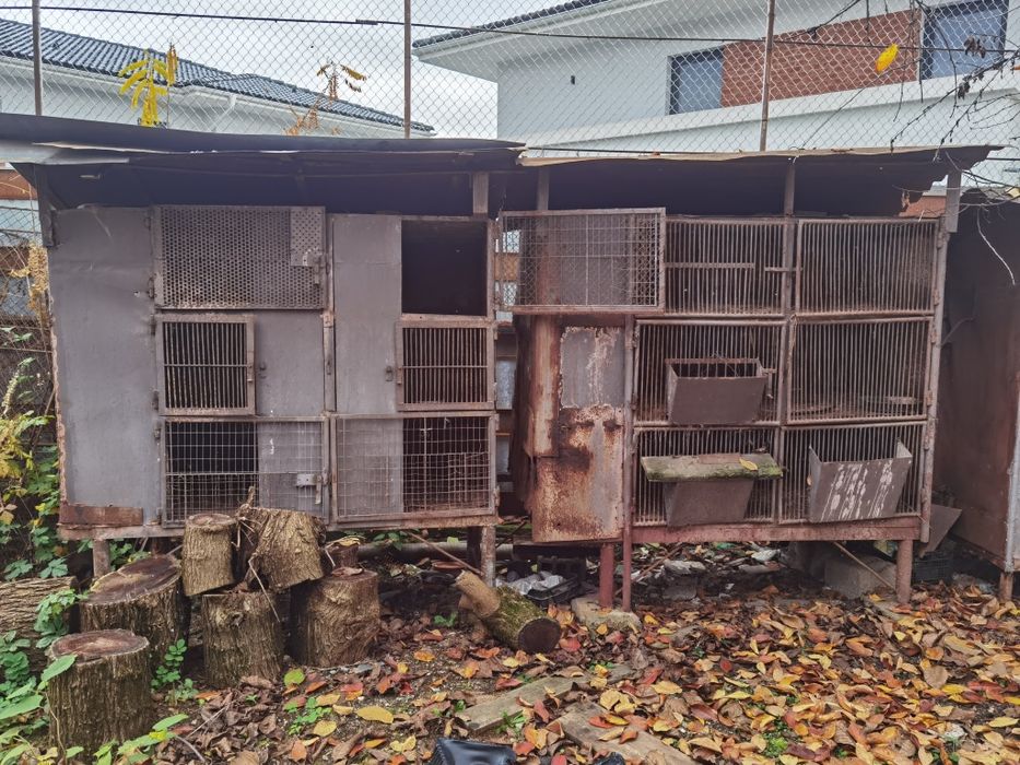 Vand 3 custi pentru iepuri