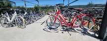 Bicicleta / biciclete / adulti /copii