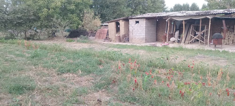 Yer sotiladi  Gulbaxor qo'rg'oni  shodlik maxallasi kirda ko'chasi 47-