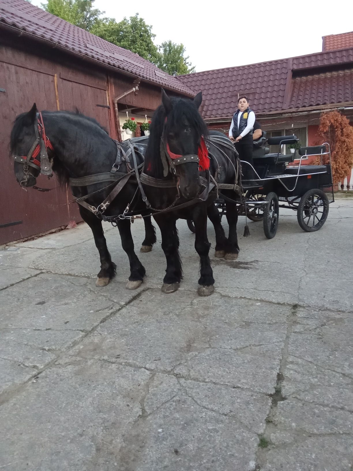 Cai pentru evenimente
