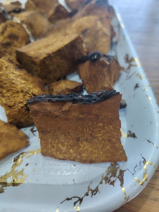 Чага берёзовая, берёзовая чага