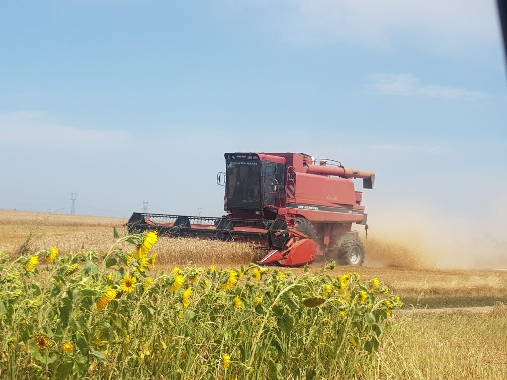 Prestari servicii agricole de recoltat