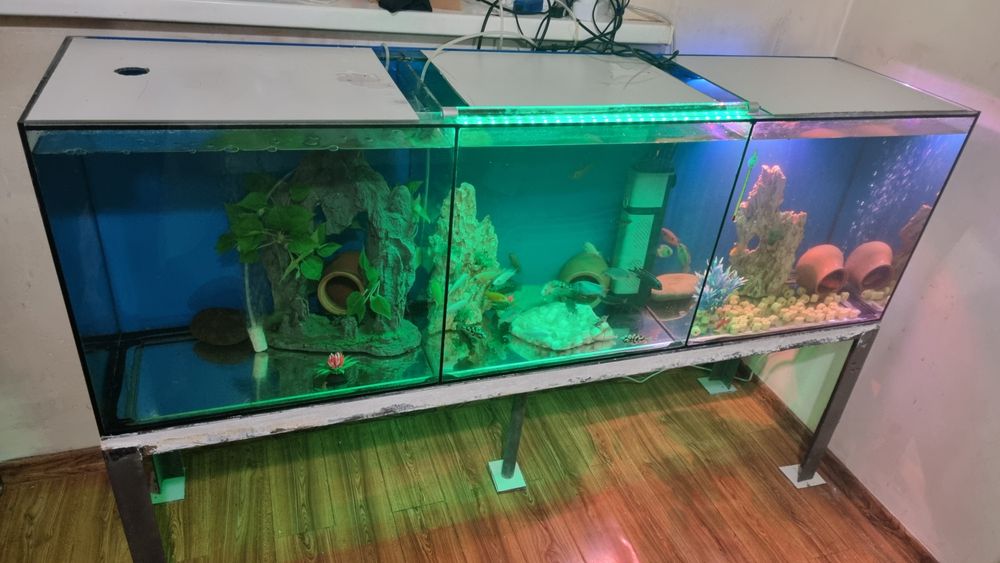 Аквариум трех секционный толшина 06 мм длина 1,60 высота 50 ширина 40