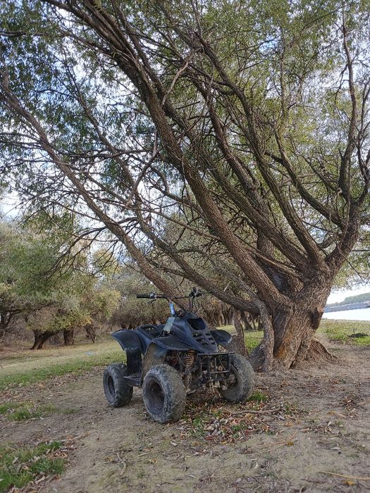 Vând atv 50cc automat