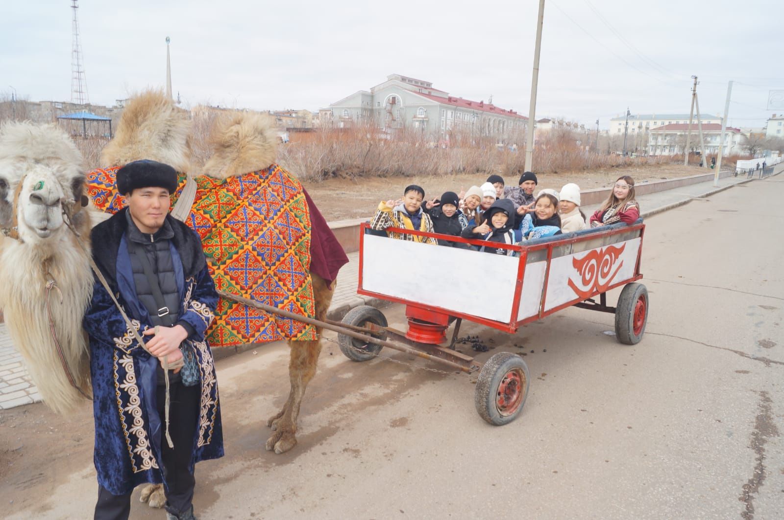 Продаётся красивые верблюды разных возрастов.верблюд .