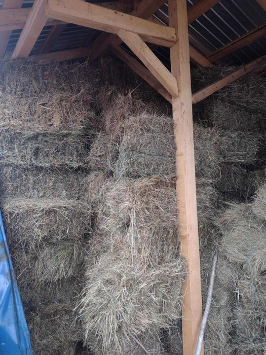 Vand baloti de fan si de otava