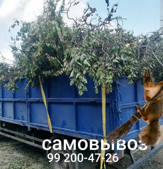 Спил обрезка грамотно обсалютно любой сложности